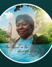 janice johnson-andrews
