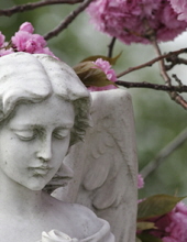joseph d'anna