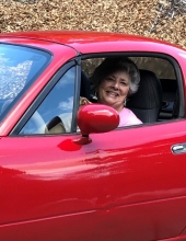 vera dagg