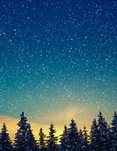 Wesley R Covington Obituary-img