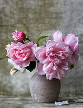 donna  kirkley