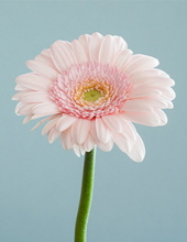 clara montaña de segura