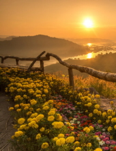 David Ralph Evans Obituary-img