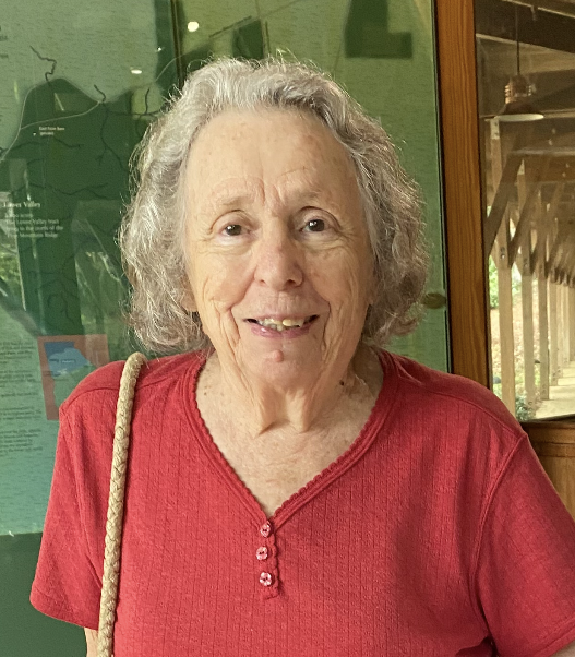 Frances Curry Bruce Obituary-img