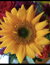 karoliina reddish-lahtinen