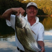 mr. robin smith