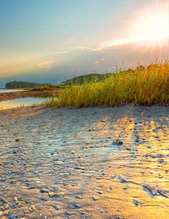 rebecca 'becky' fant