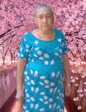 josefina alonso de la sierra